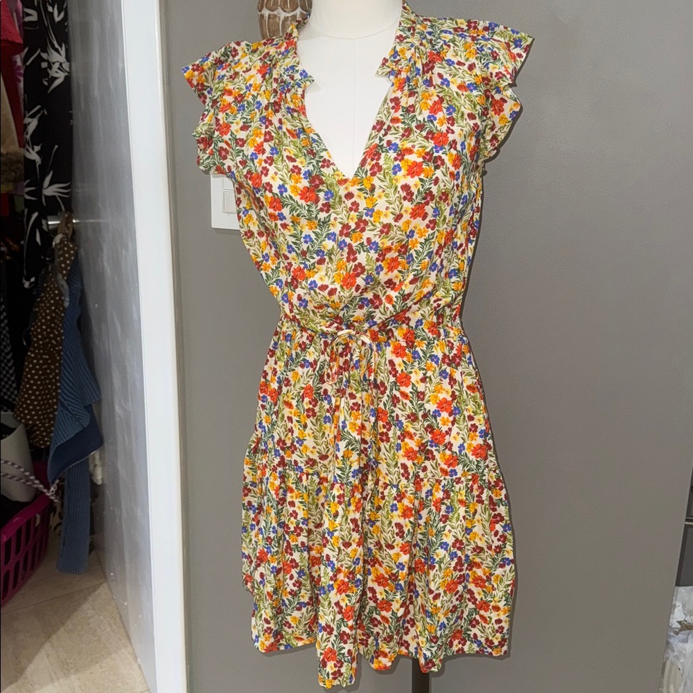 Velvet by Graham & Spencer Multicolor Floral Mini Dress